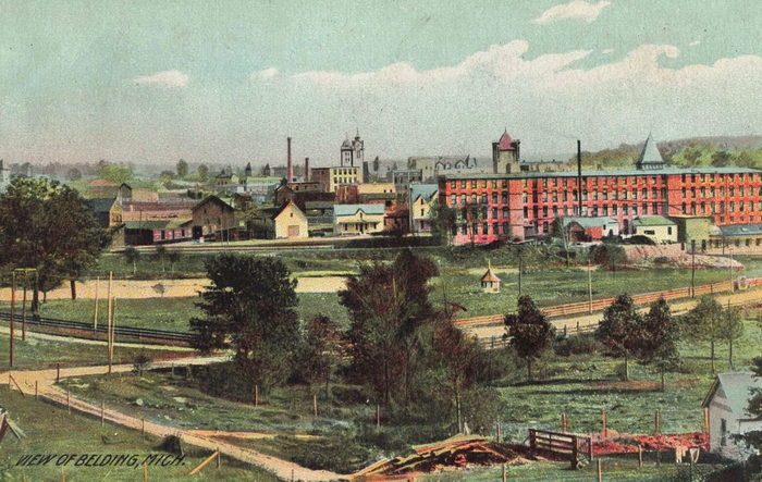 Belding - Vintage Postcard Of Silk Plant